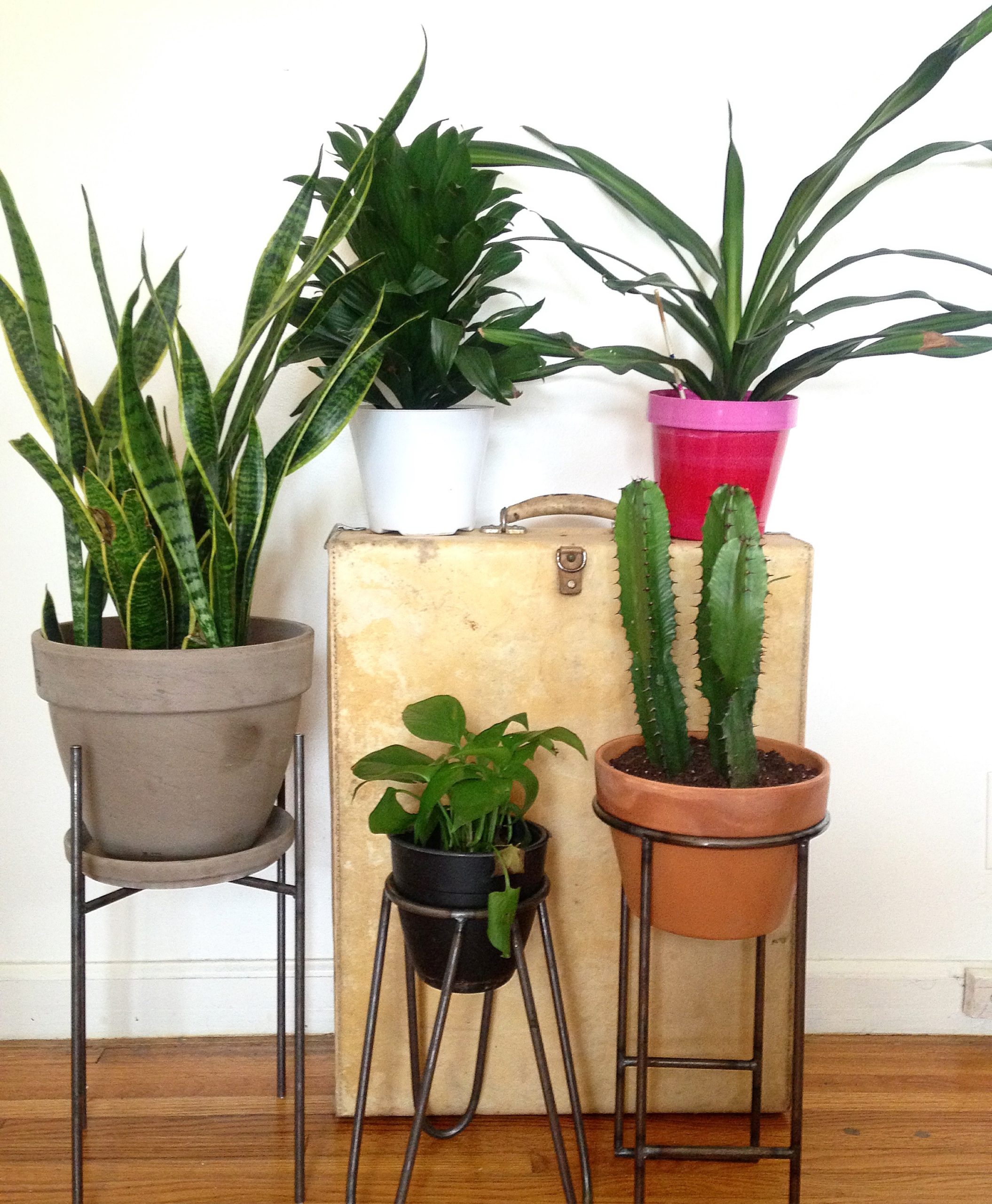 Design-Thoughts-Home