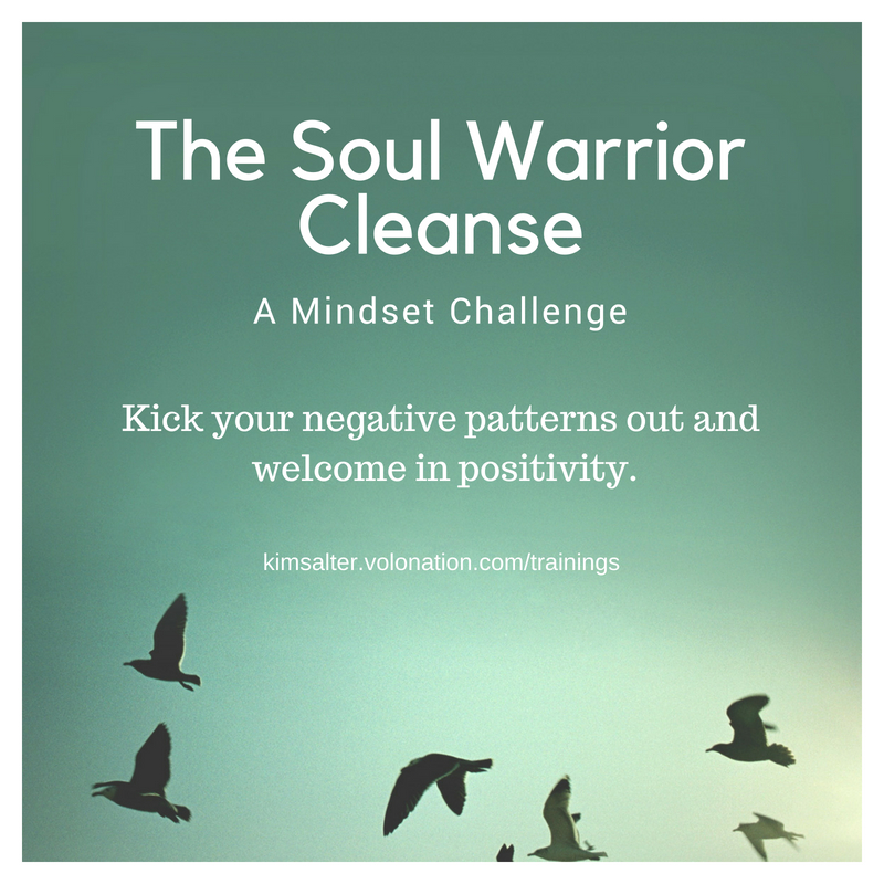 The Soul Warrior Cleanse : A mindset challenge